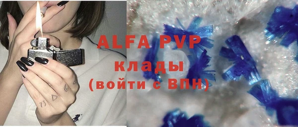молекула духа Арсеньев