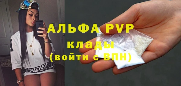 молекула духа Арсеньев