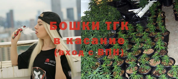 молекула духа Арсеньев