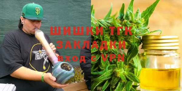молекула духа Арсеньев